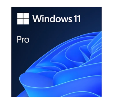 Microsoft Windows 11 Pro
